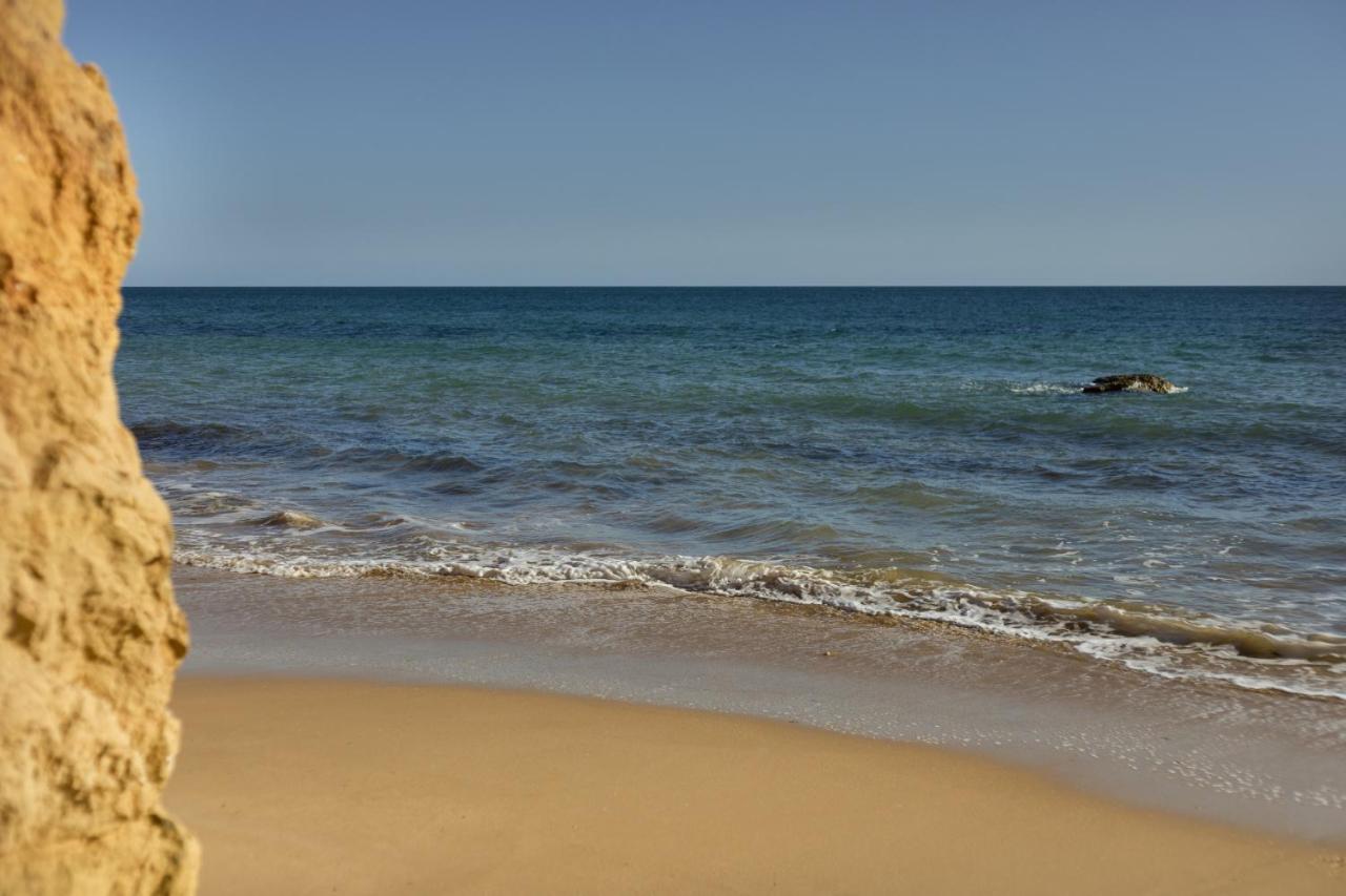 New - Tarik 111 Portimao